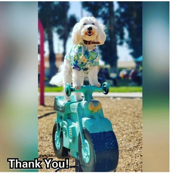 Adidas Originals Craig Green Sneaker Shoes - Picture 16 of 16